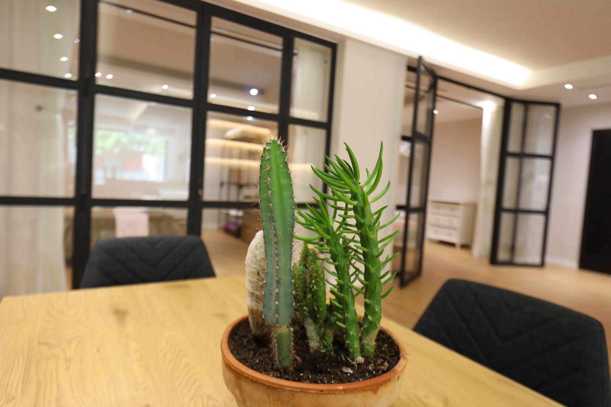 Amantia Apartment Vlorë 외부 사진